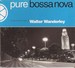 A VIEW ON THE MUSIC OF WALTER WANDERLEY